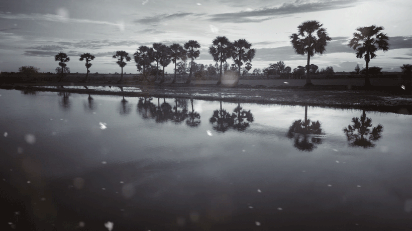 Hình nền động đẹp nhất cho máy tính