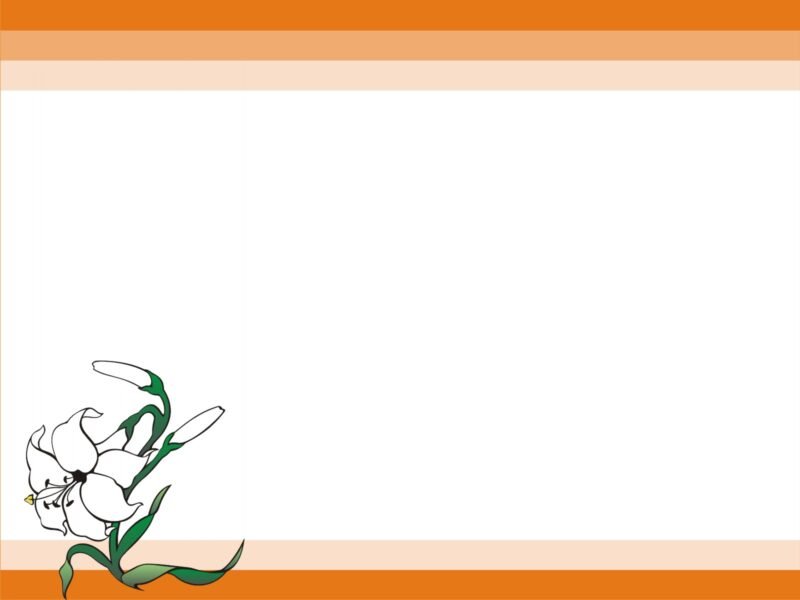 Hình nền slide đẹp, hình bông hoa trắng