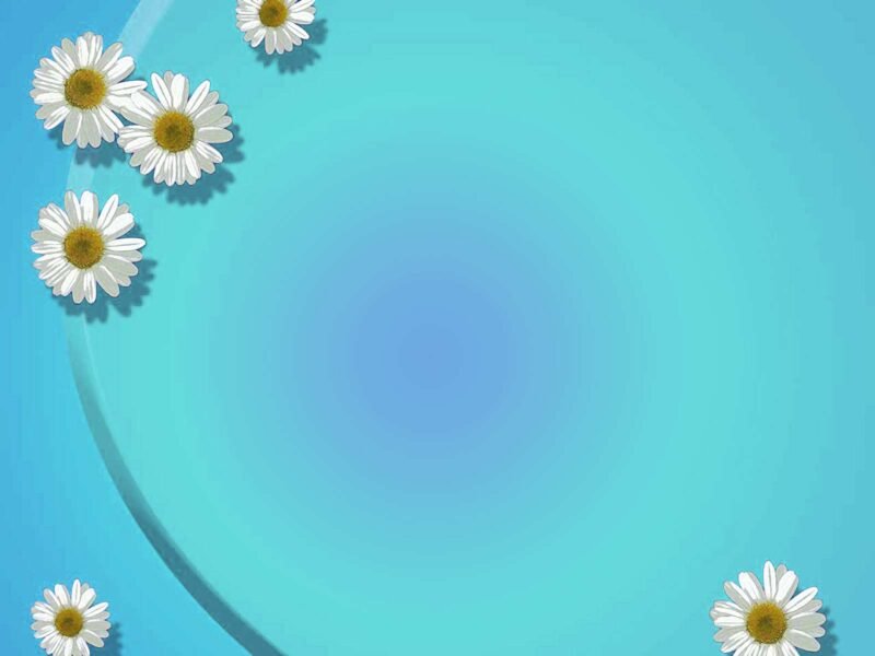 Hình nền slide đẹp, nhẹ nhàng