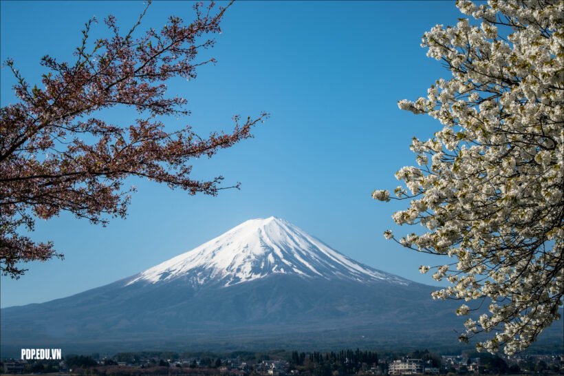 hình ảnh núi Phú Sĩ