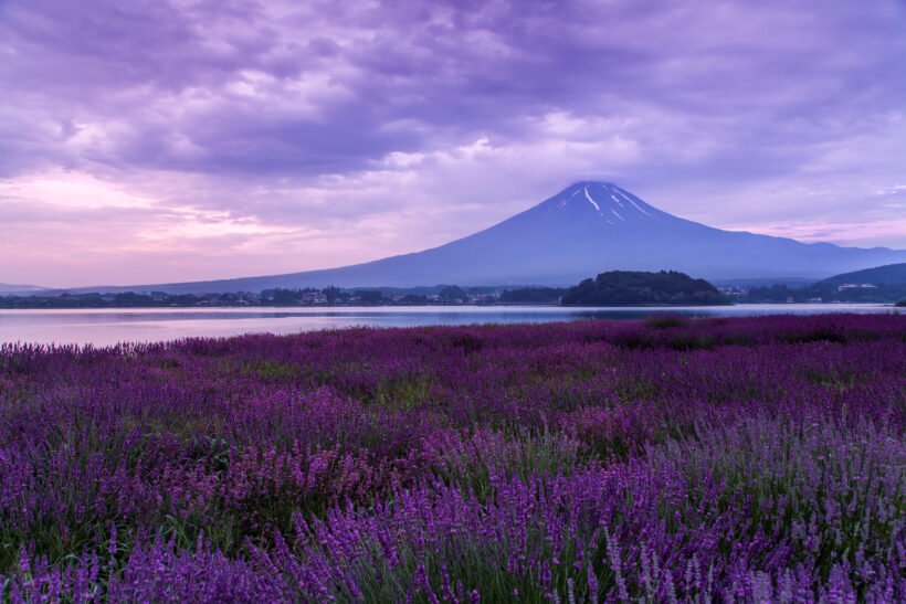 hình ảnh núi Phú Sĩ đẹp lãng mạn