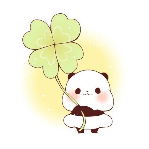 Avatar cute gấu trúc